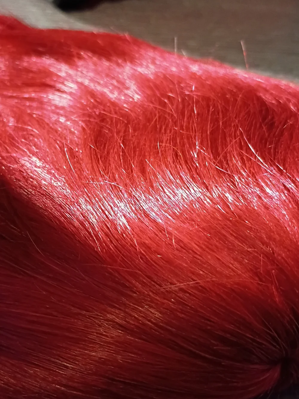 None vibrant red
